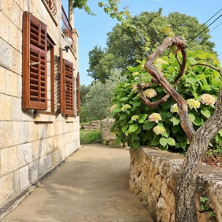 Studio Airport Dubrovnik Čilipi Εξωτερικό φωτογραφία