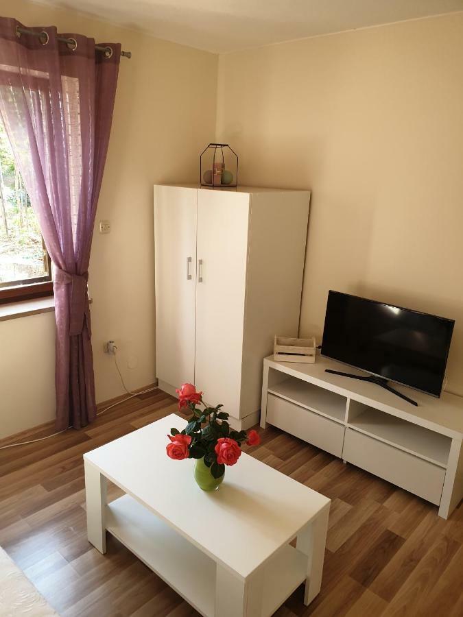 Studio Airport Dubrovnik Čilipi Εξωτερικό φωτογραφία